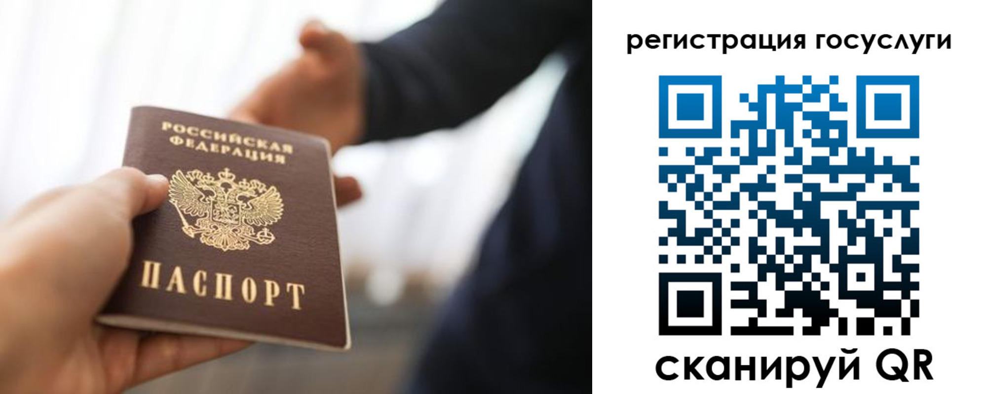 временная регистрация поиск в Приморском крае